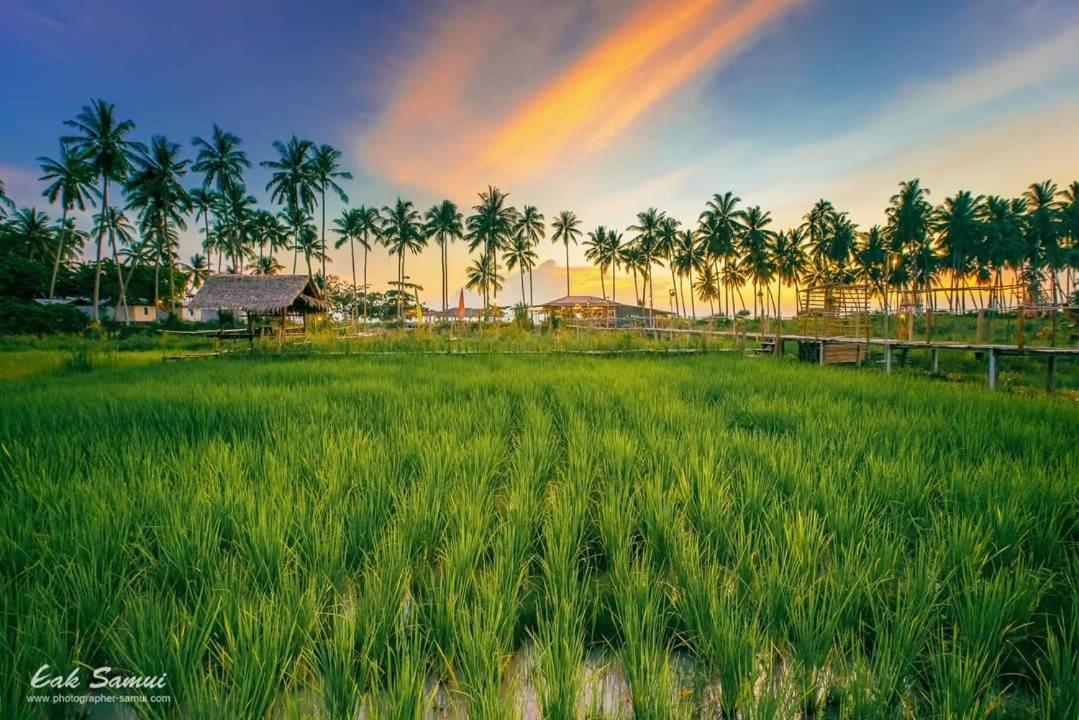 I - Talay Taling Ngam Samui - เขา ป่า นา เล ตลิ่งงาม สมุย Hotel Exterior foto